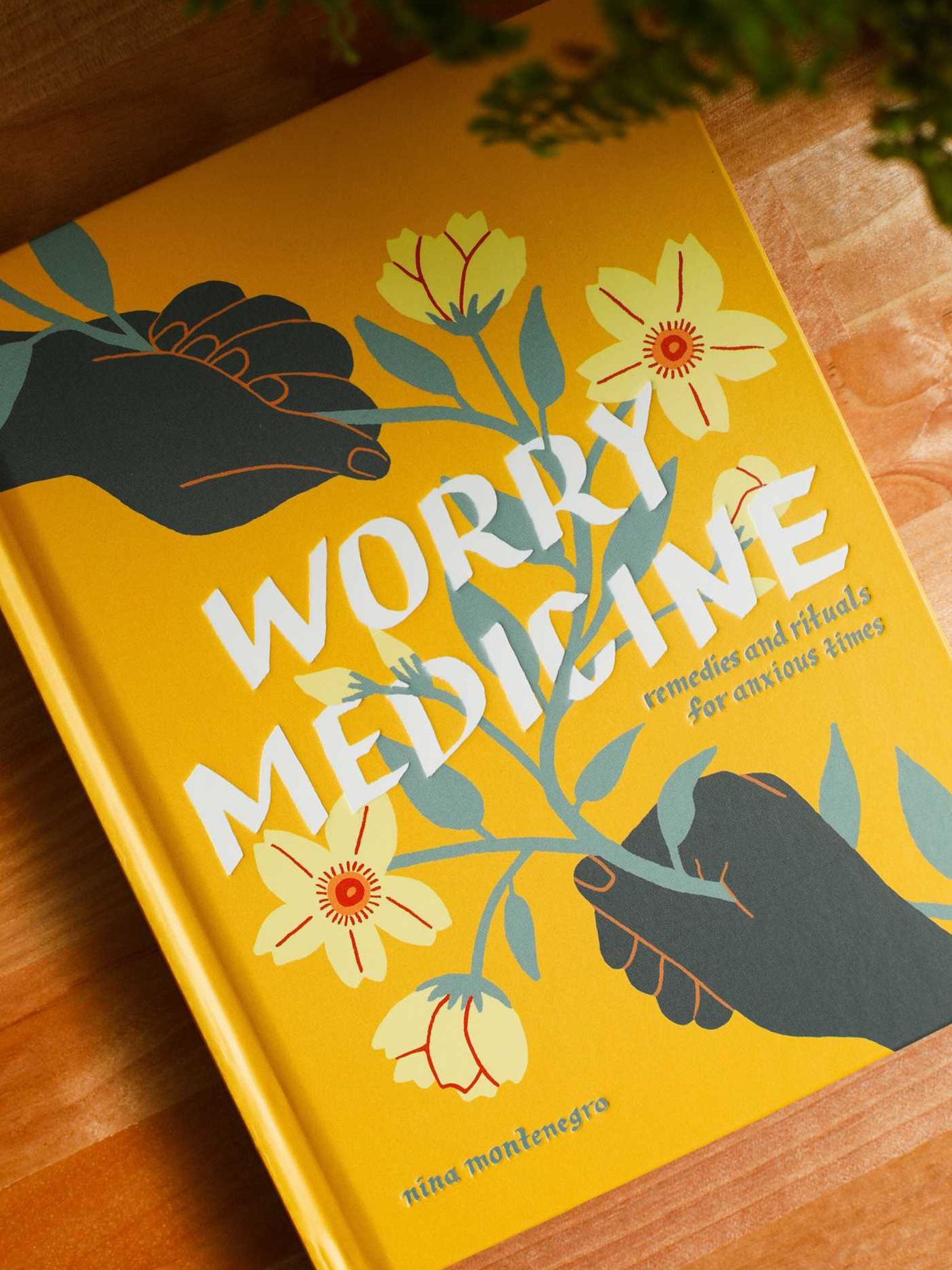 Worry Medicine: Remedies and Rituals for Anxious Times