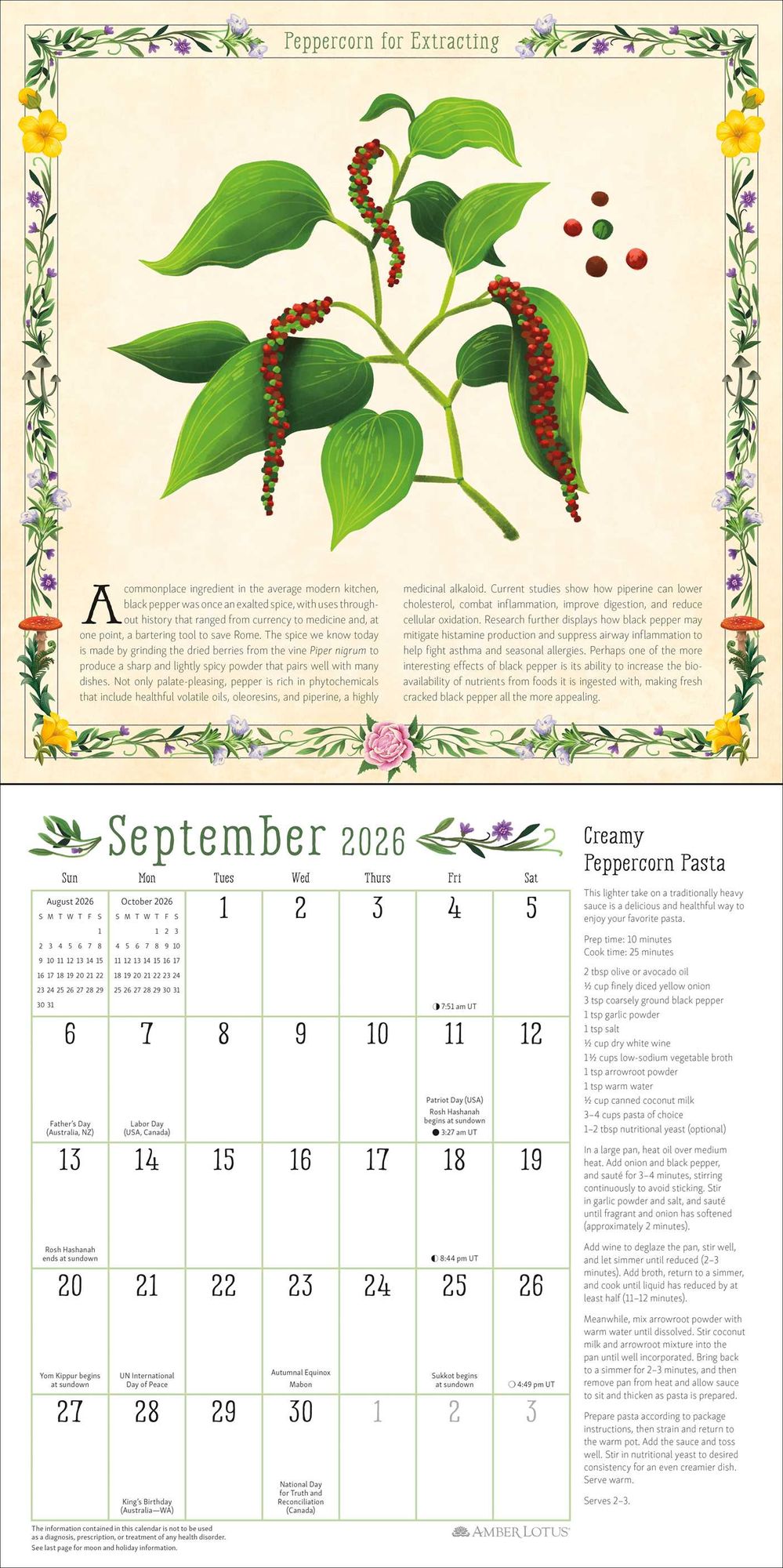 2026 Kitchen Witch Wall Calendar