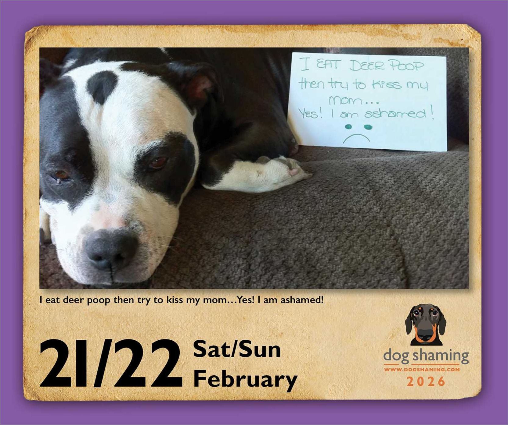 2026 Dog Shaming Day-to-Day Calendar