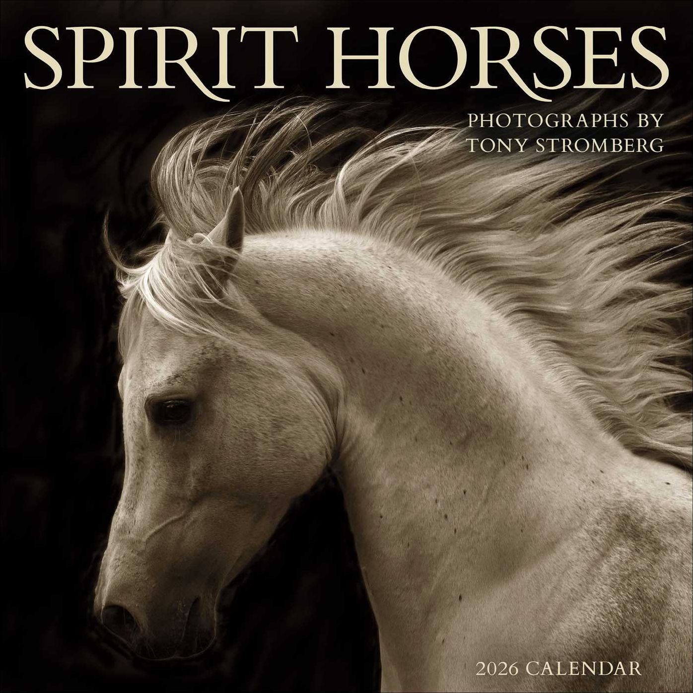 2026 Spirit Horses Wall Calendar by Tony Stromberg