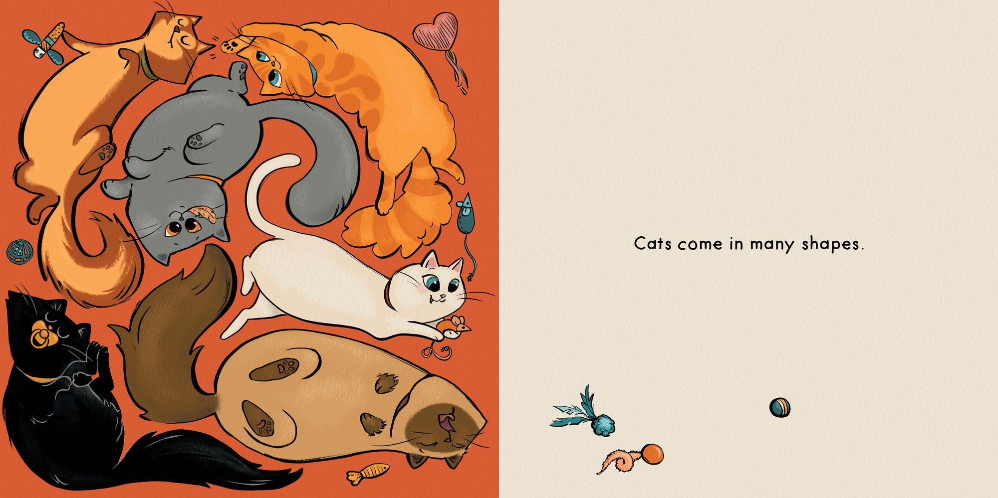 Cat Shapes