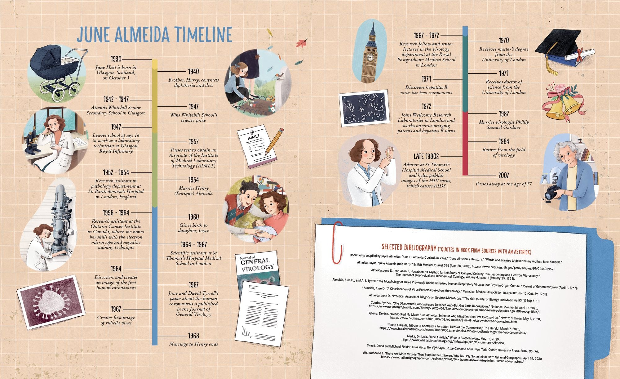 June Almeida, Virus Detective!: The Woman Who Discovered the First Human Coronavirus