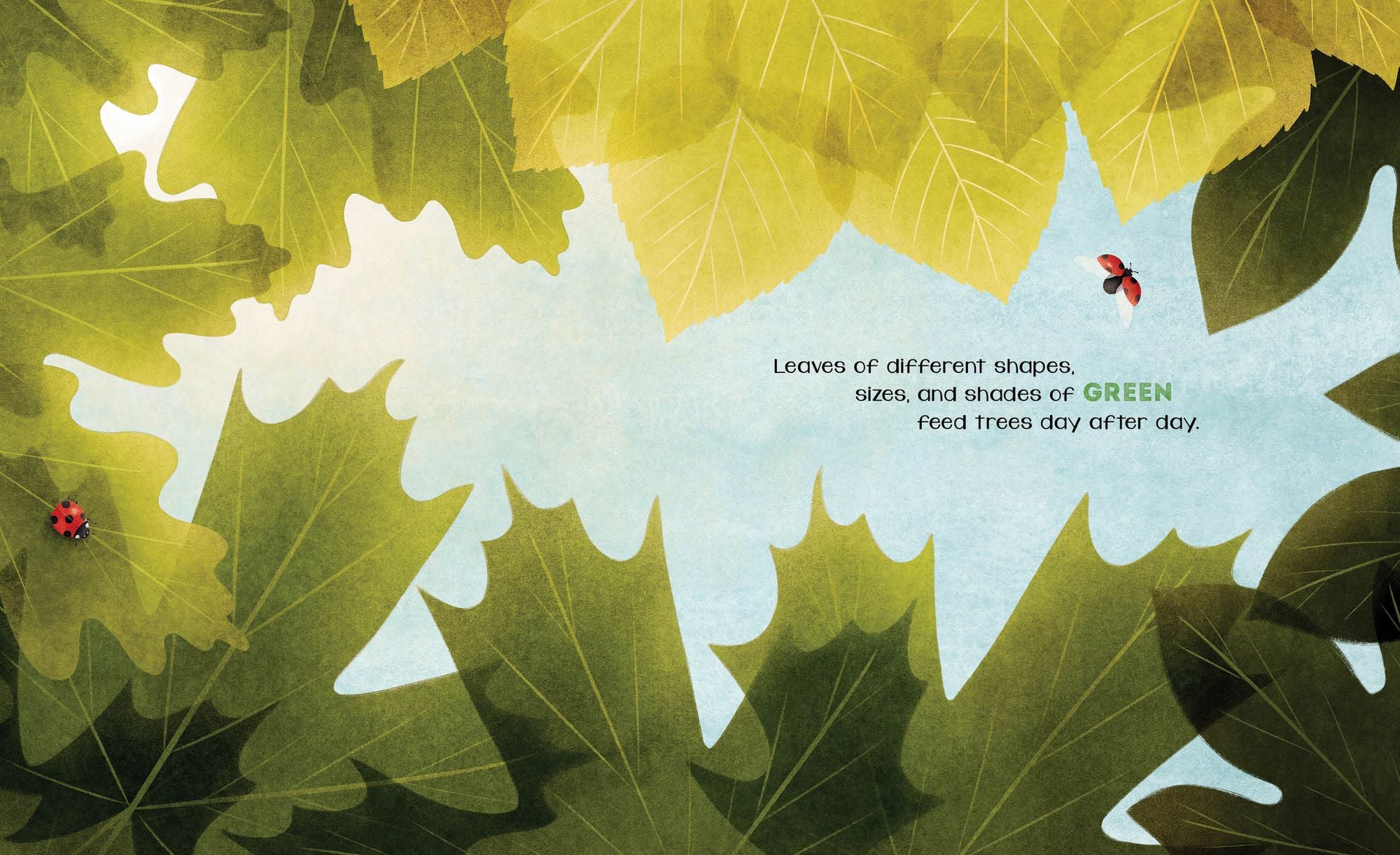 The Secret of Fall