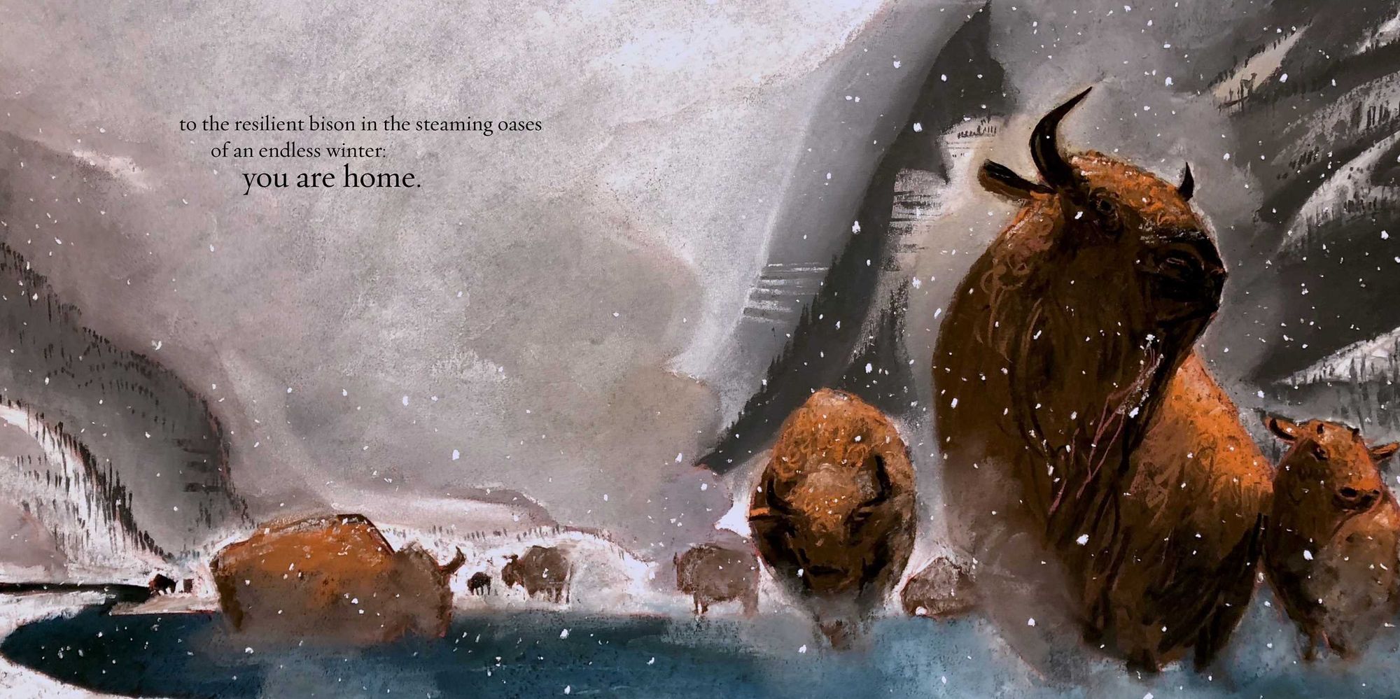 You Are Home: An Ode to the National Parks
