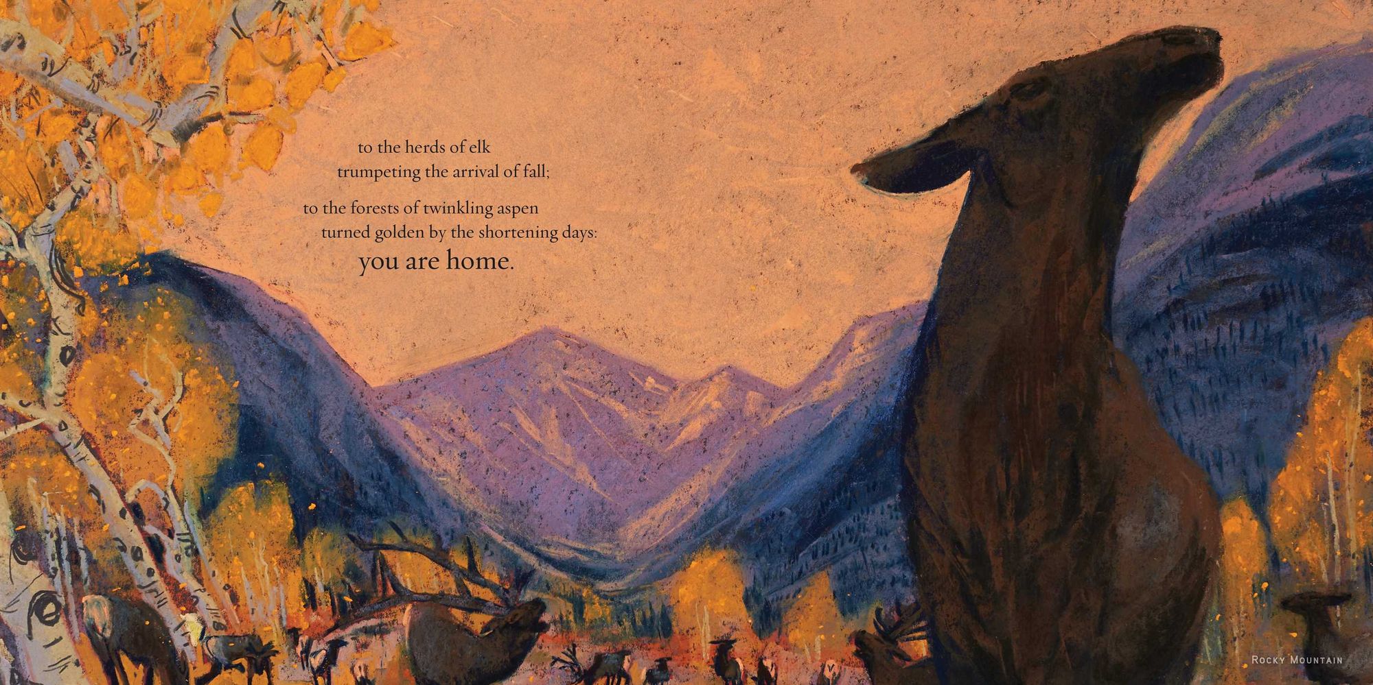 You Are Home: An Ode to the National Parks