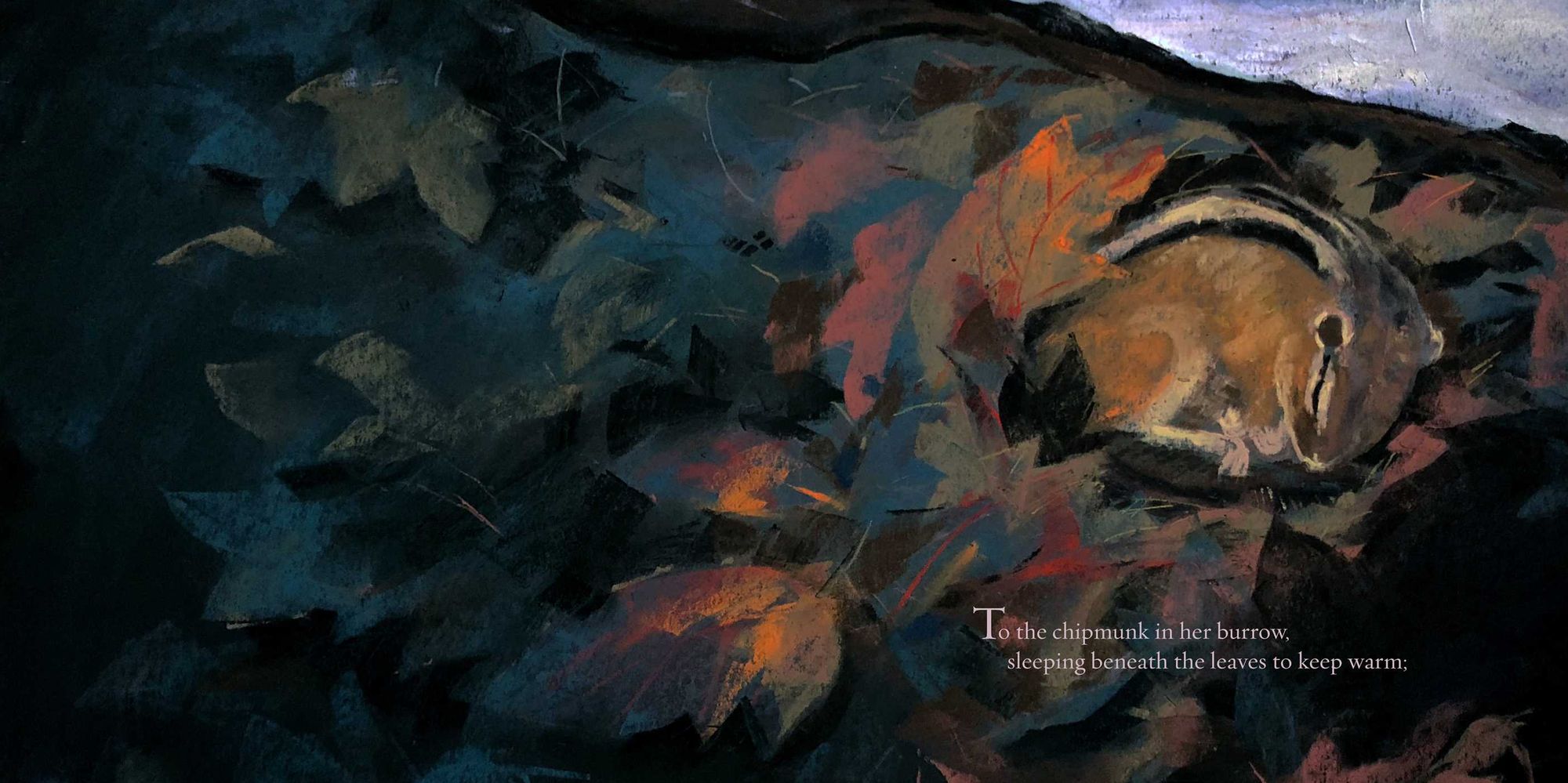 You Are Home: An Ode to the National Parks