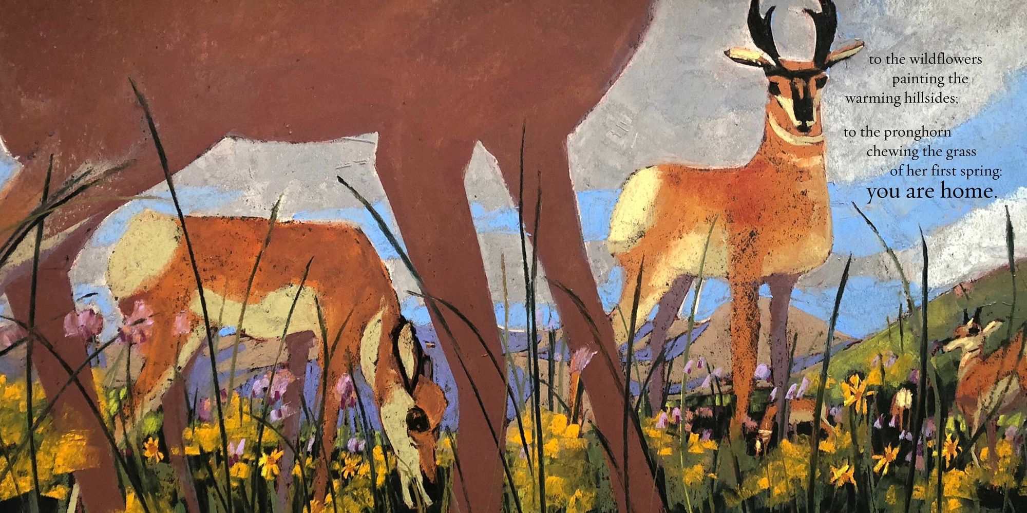 You Are Home: An Ode to the National Parks