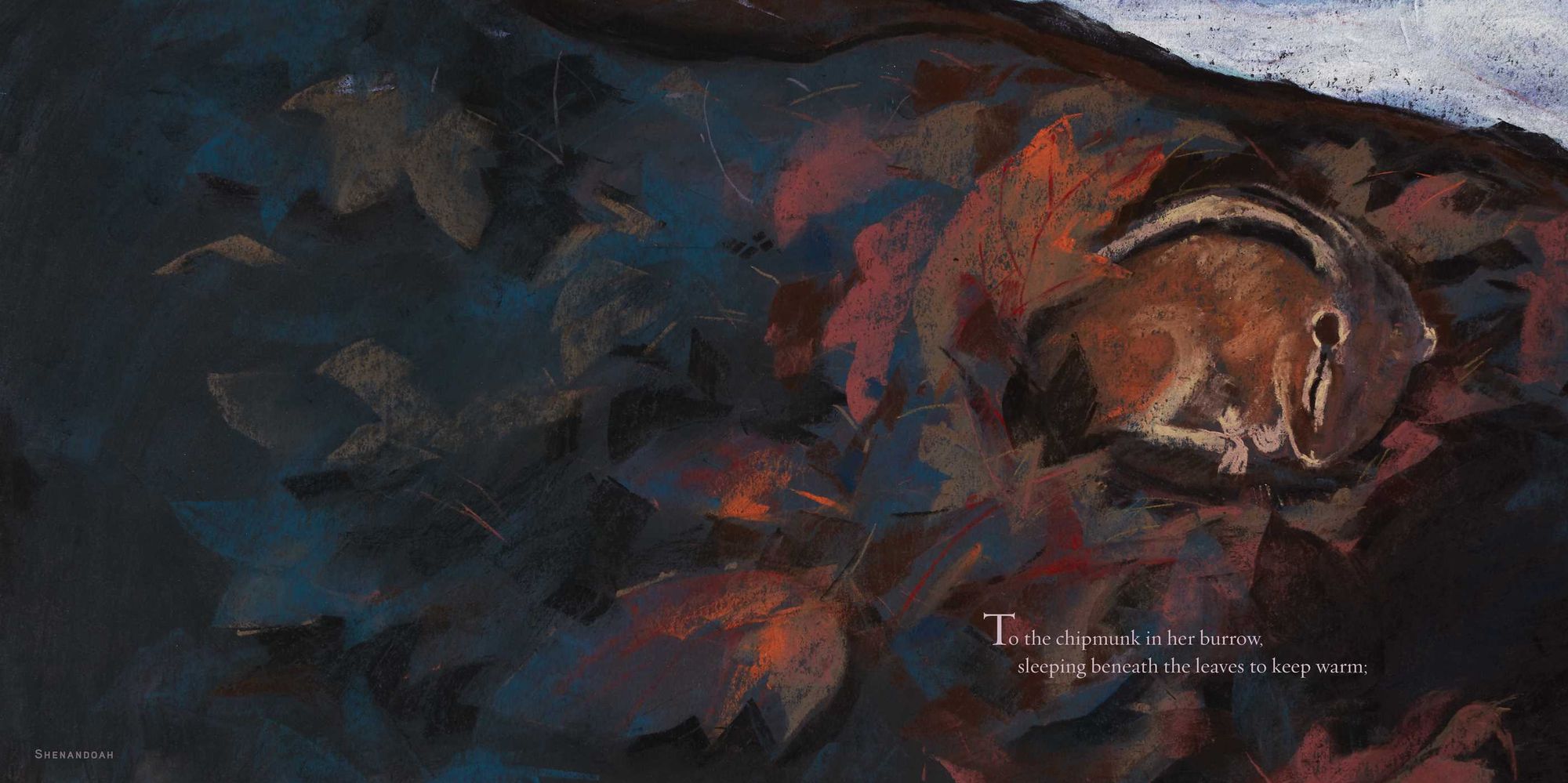 You Are Home: An Ode to the National Parks