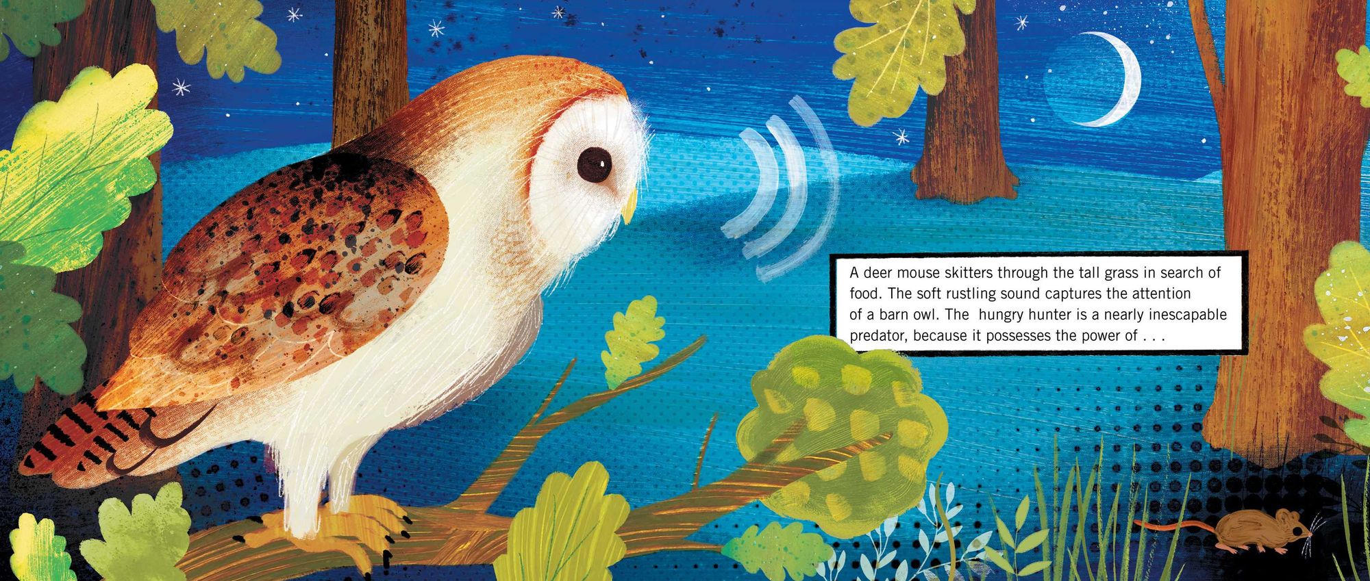 Animal Superpowers!