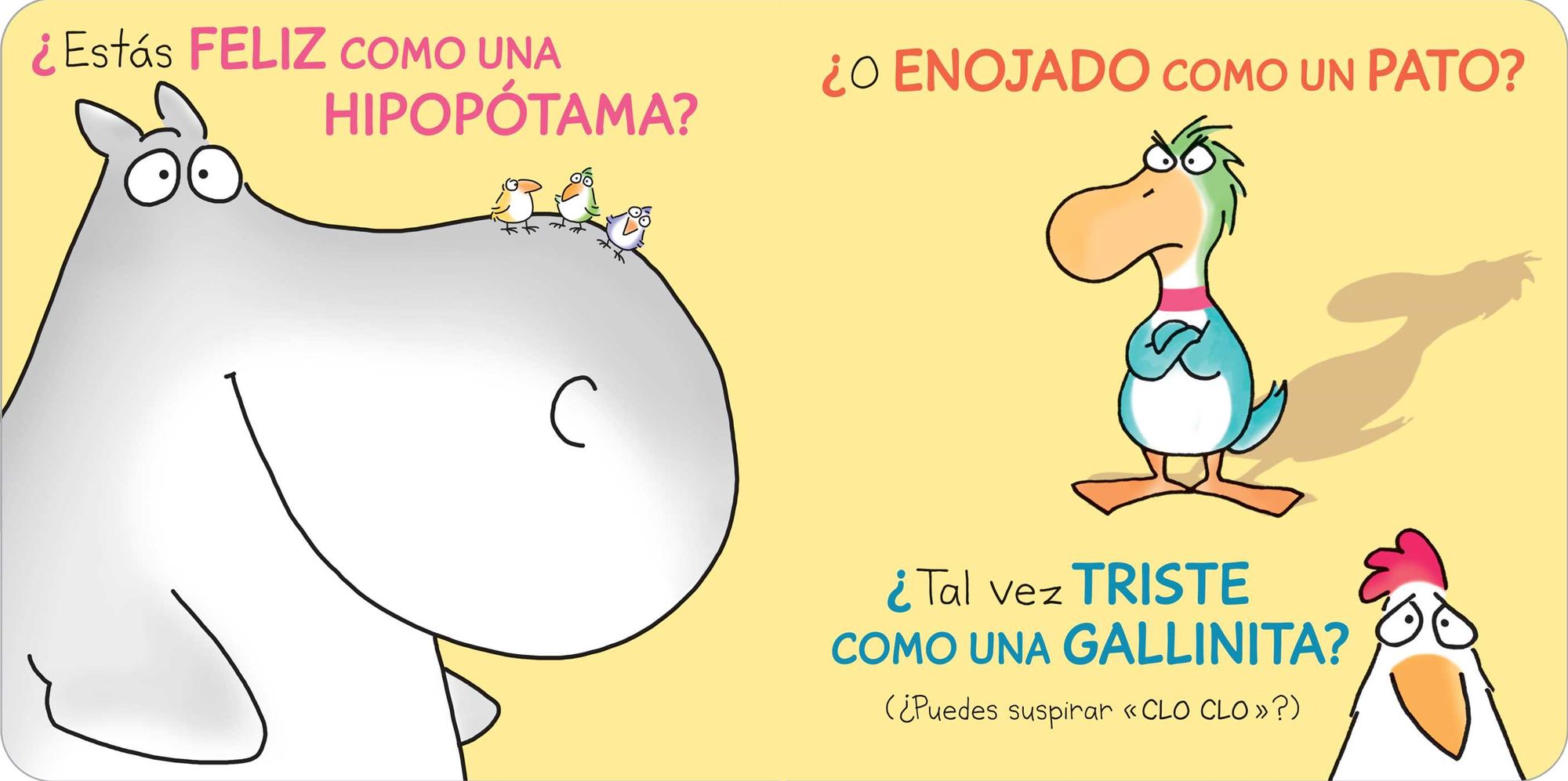 Hipopótama feliz, pato enojado (Happy Hippo, Angry Duck)