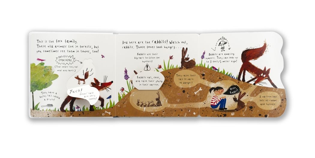 Hello, Bear!: (An Educational Lift-the-Flap Board Book for Toddlers, Preschoolers, and Kids Ages 2-5 to Learn Fun Facts About Forest Animals)