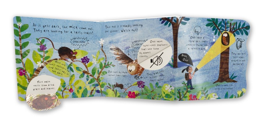 Hello, Bear!: (An Educational Lift-the-Flap Board Book for Toddlers, Preschoolers, and Kids Ages 2-5 to Learn Fun Facts About Forest Animals)
