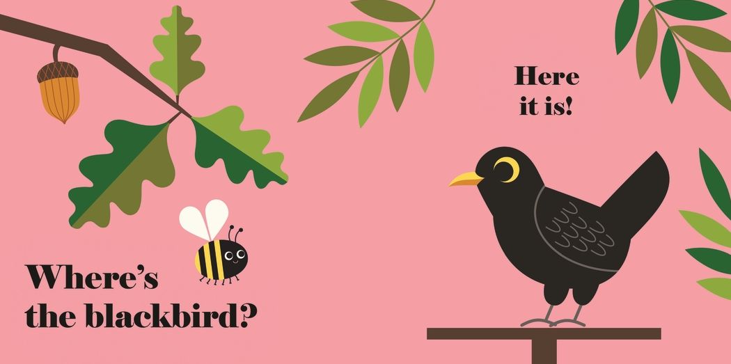 Where's the Puffin?: (An Interactive, Sensory Lift-the-Flap Book with Felt Flaps and a Mirror for Babies & Toddlers. Friendly Birds Include a Kingfisher, Blackbird, & Swan.)