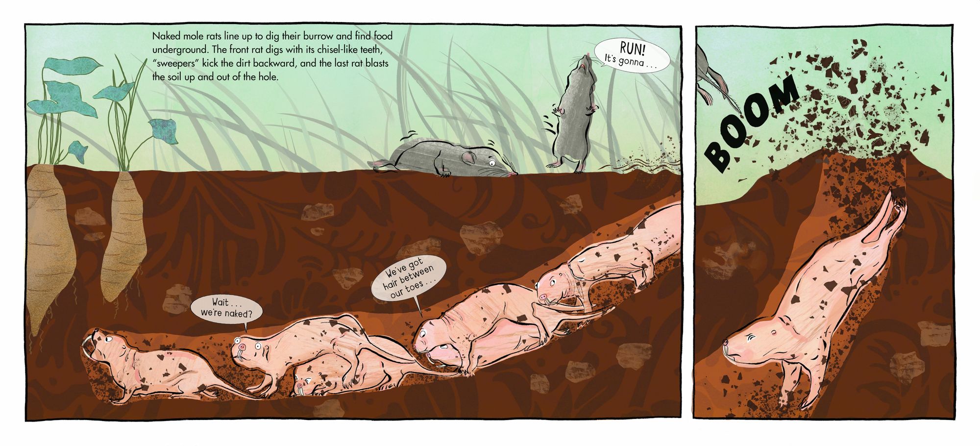 Supersquads!: Animal Heroes