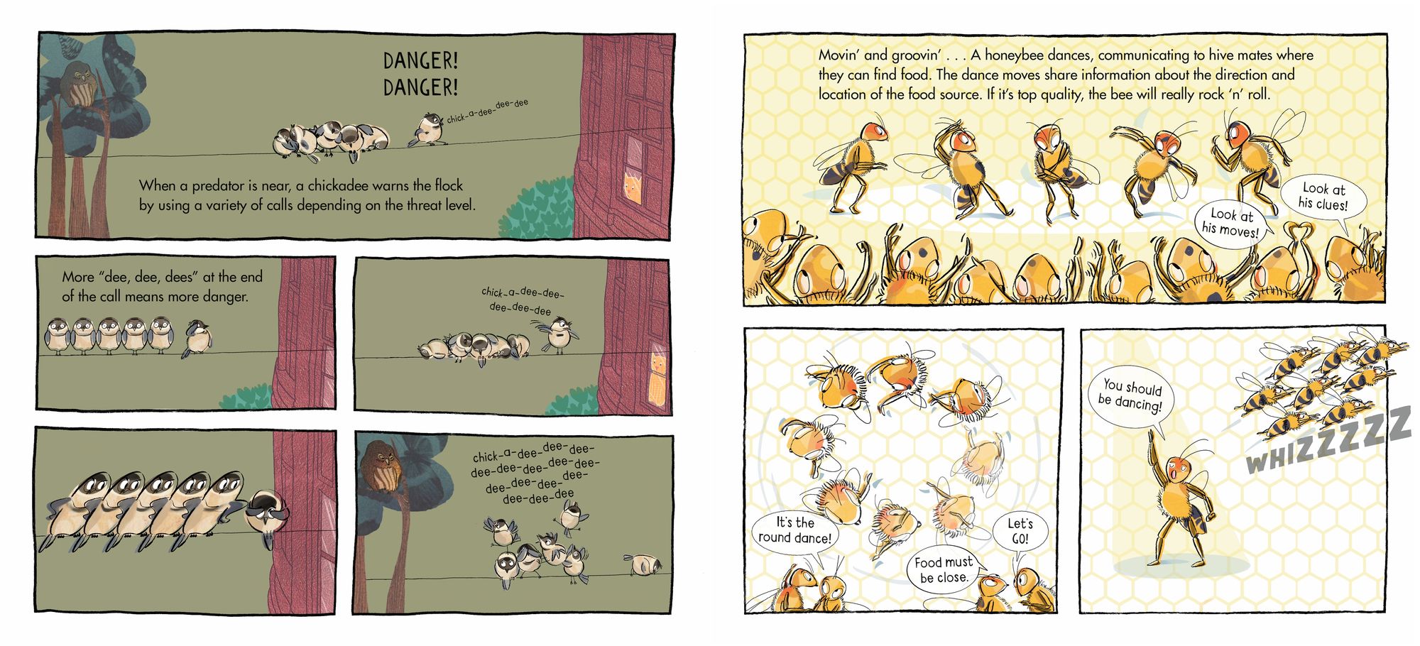 Supersquads!: Animal Heroes