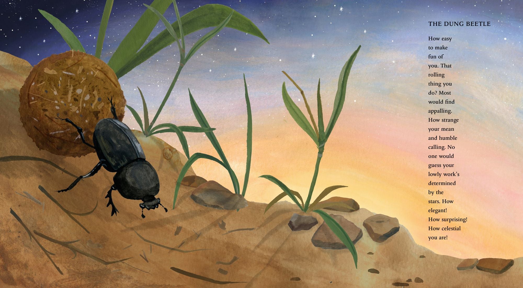In the Desert