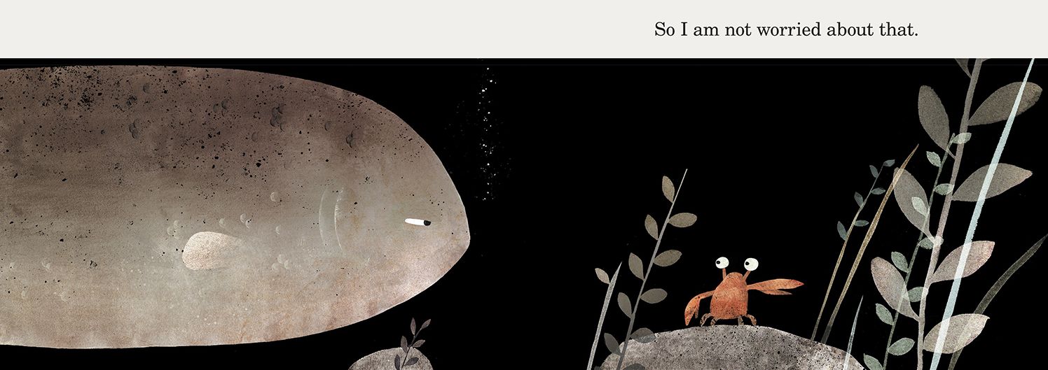 This Is Not My Hat (Caldecott Medal Winner)