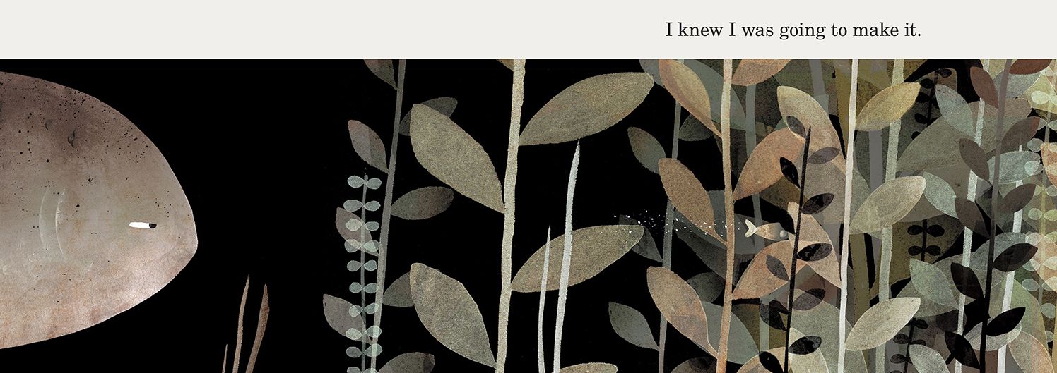 This Is Not My Hat (Caldecott Medal Winner)
