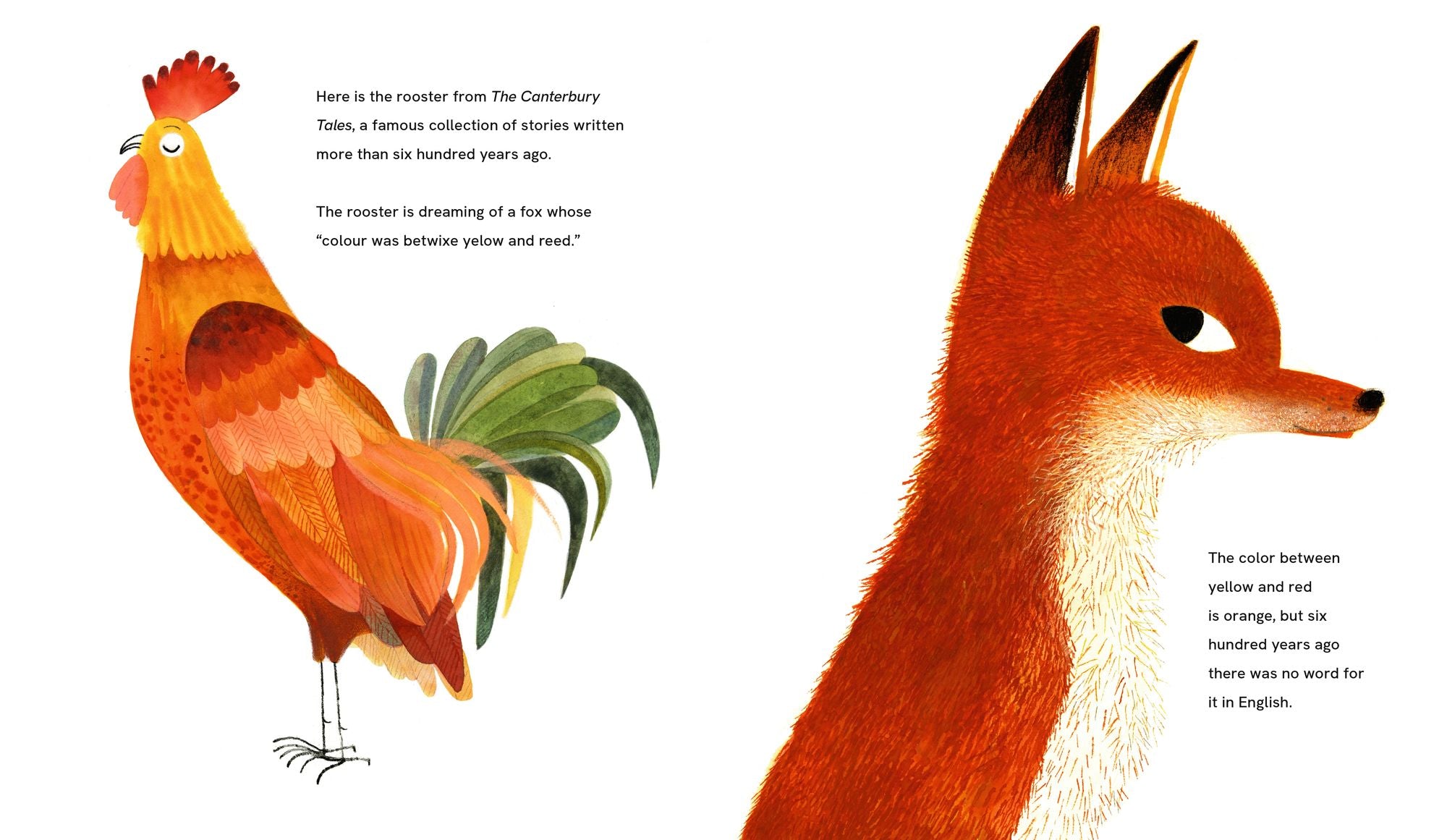 This Is Orange: A Field Trip Through Color