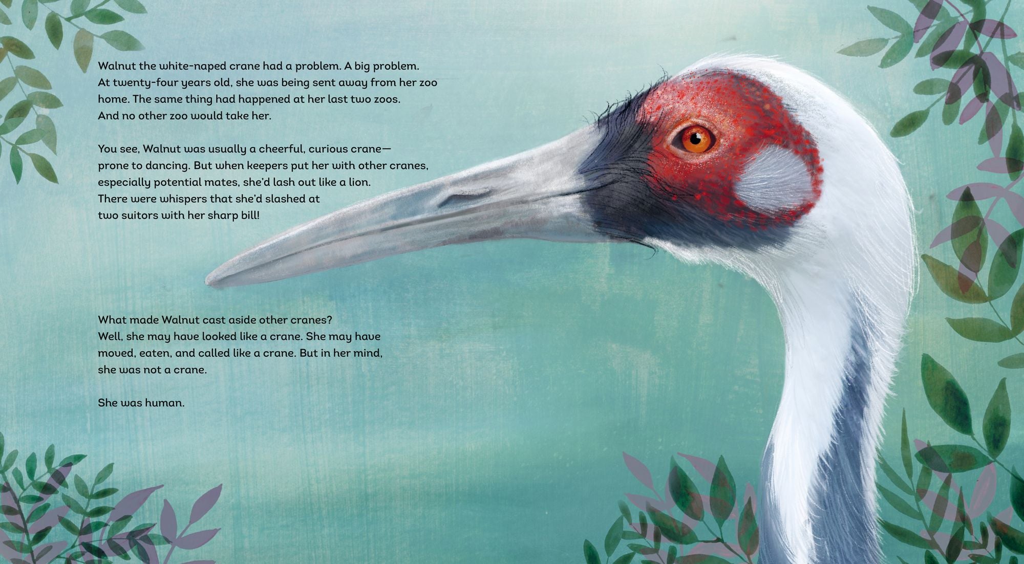 The Crane and the Keeper: How an Endangered Crane Chose a Human as Her Mate