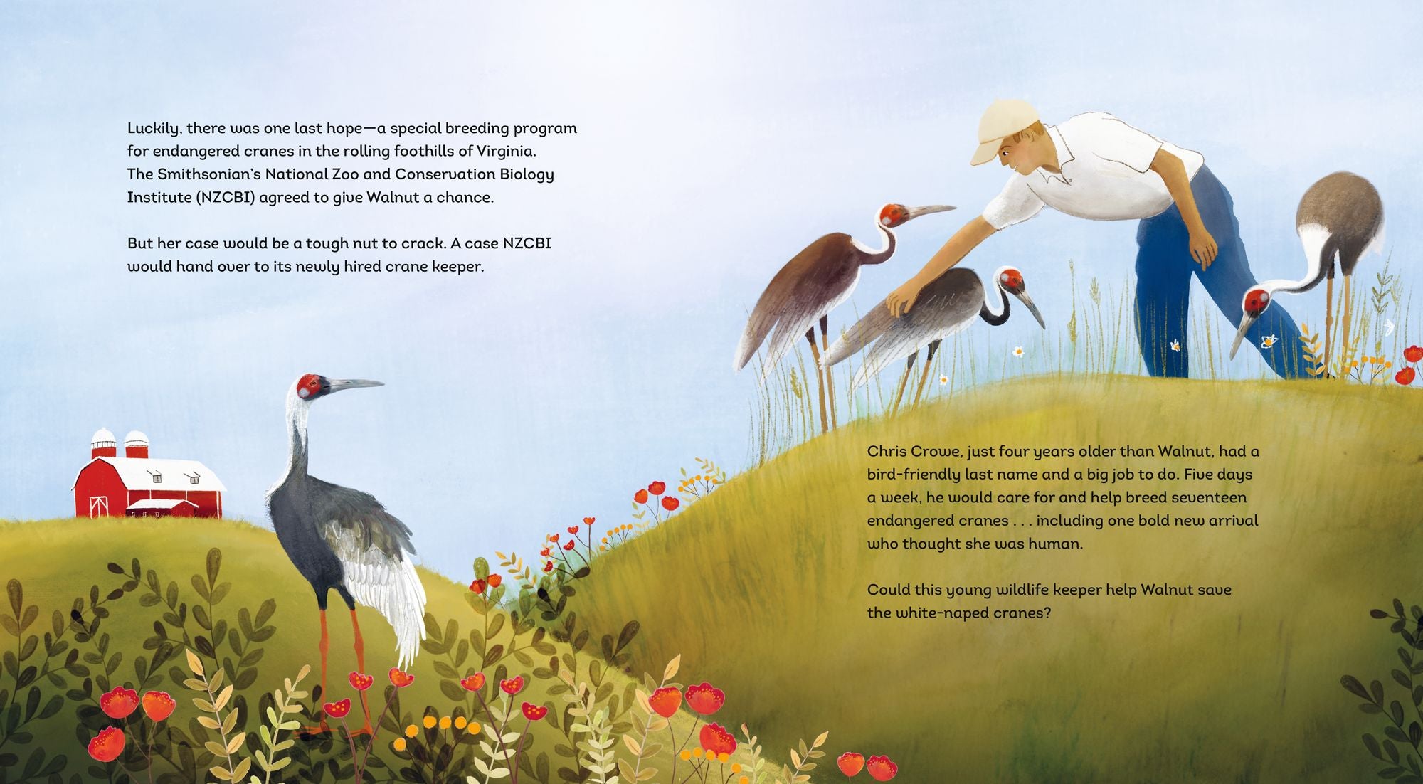 The Crane and the Keeper: How an Endangered Crane Chose a Human as Her Mate