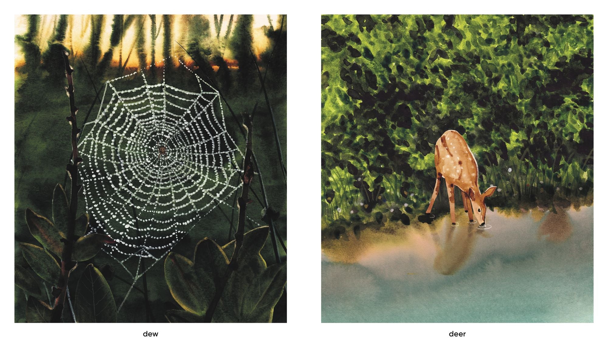 Dawn: Watch the World Awaken