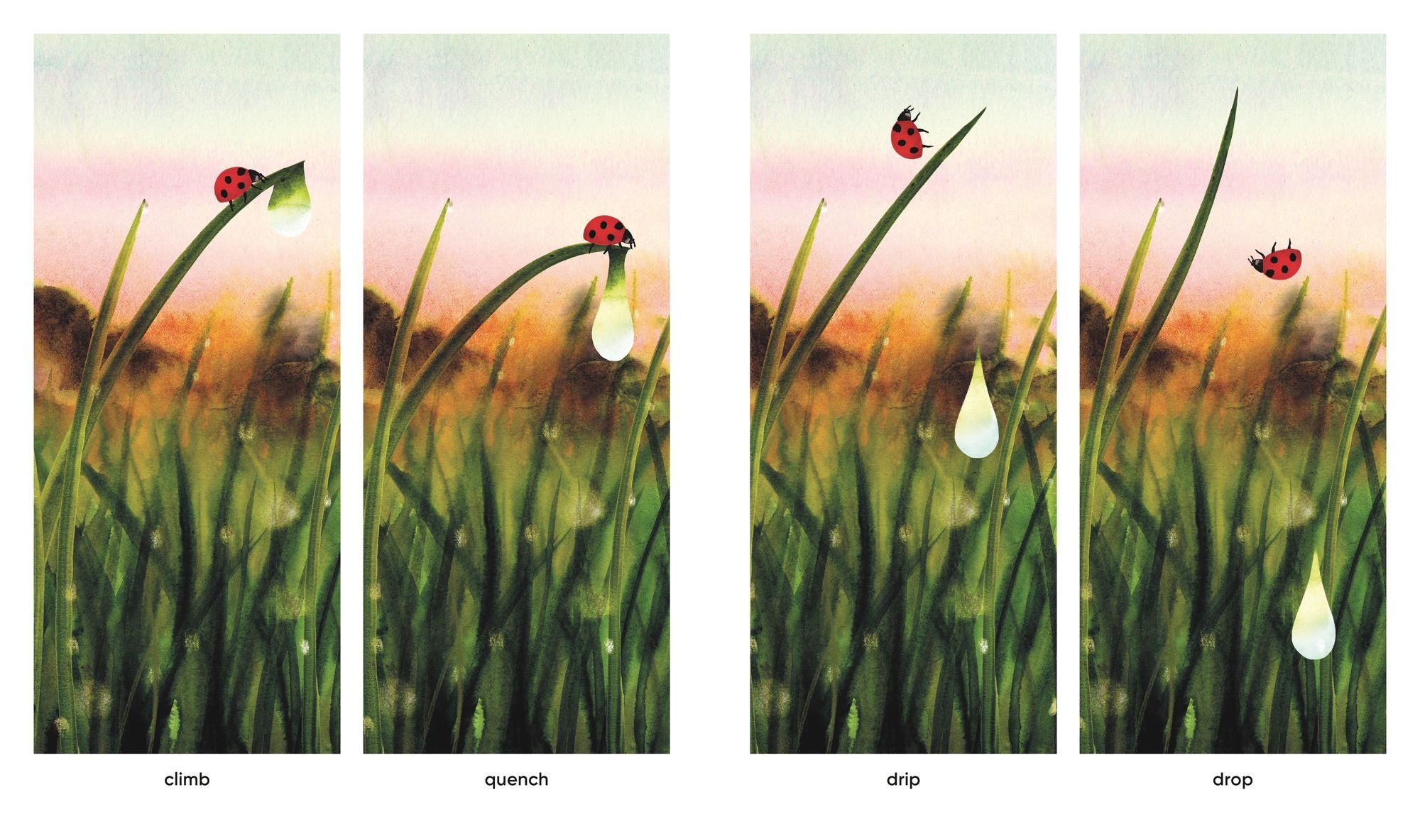 Dawn: Watch the World Awaken