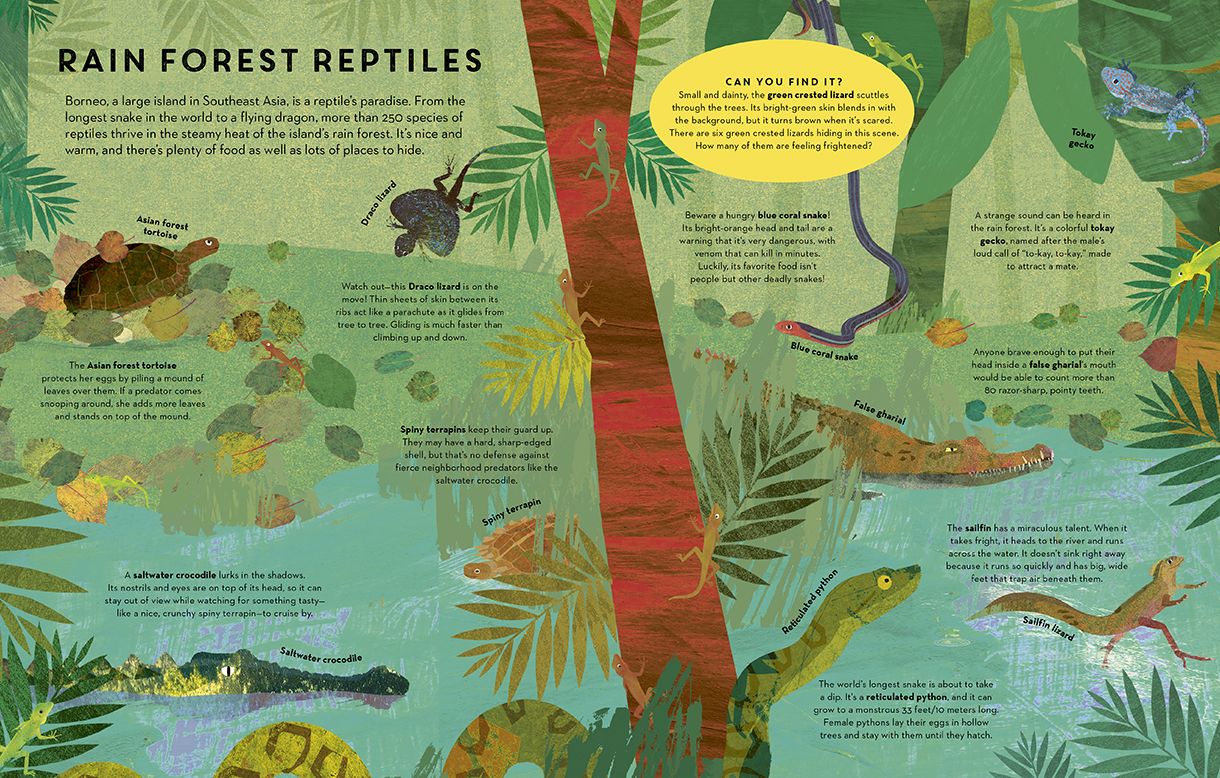 Reptiles Everywhere