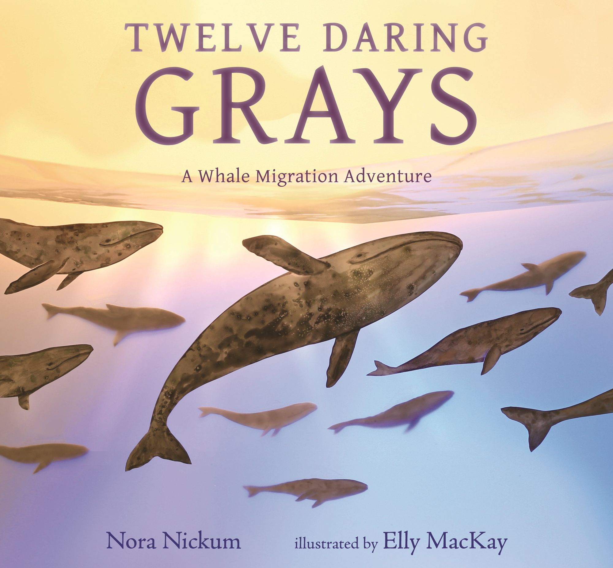 Twelve Daring Grays: A Whale Migration Adventure