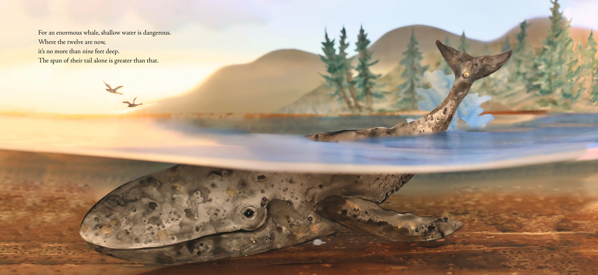 Twelve Daring Grays: A Whale Migration Adventure