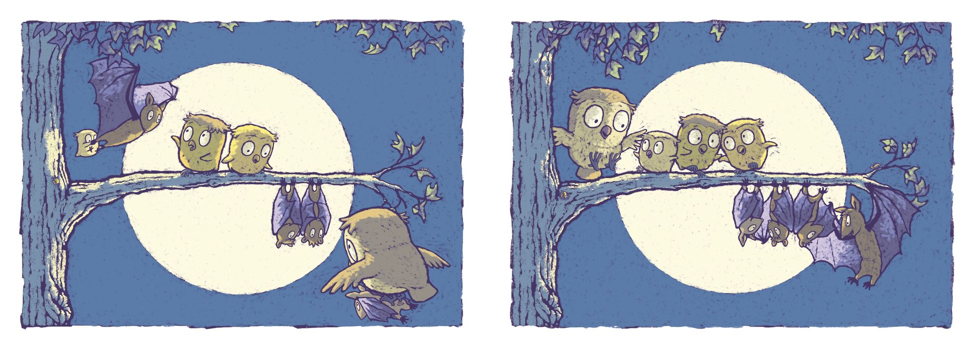 Owl Bat Bat Owl