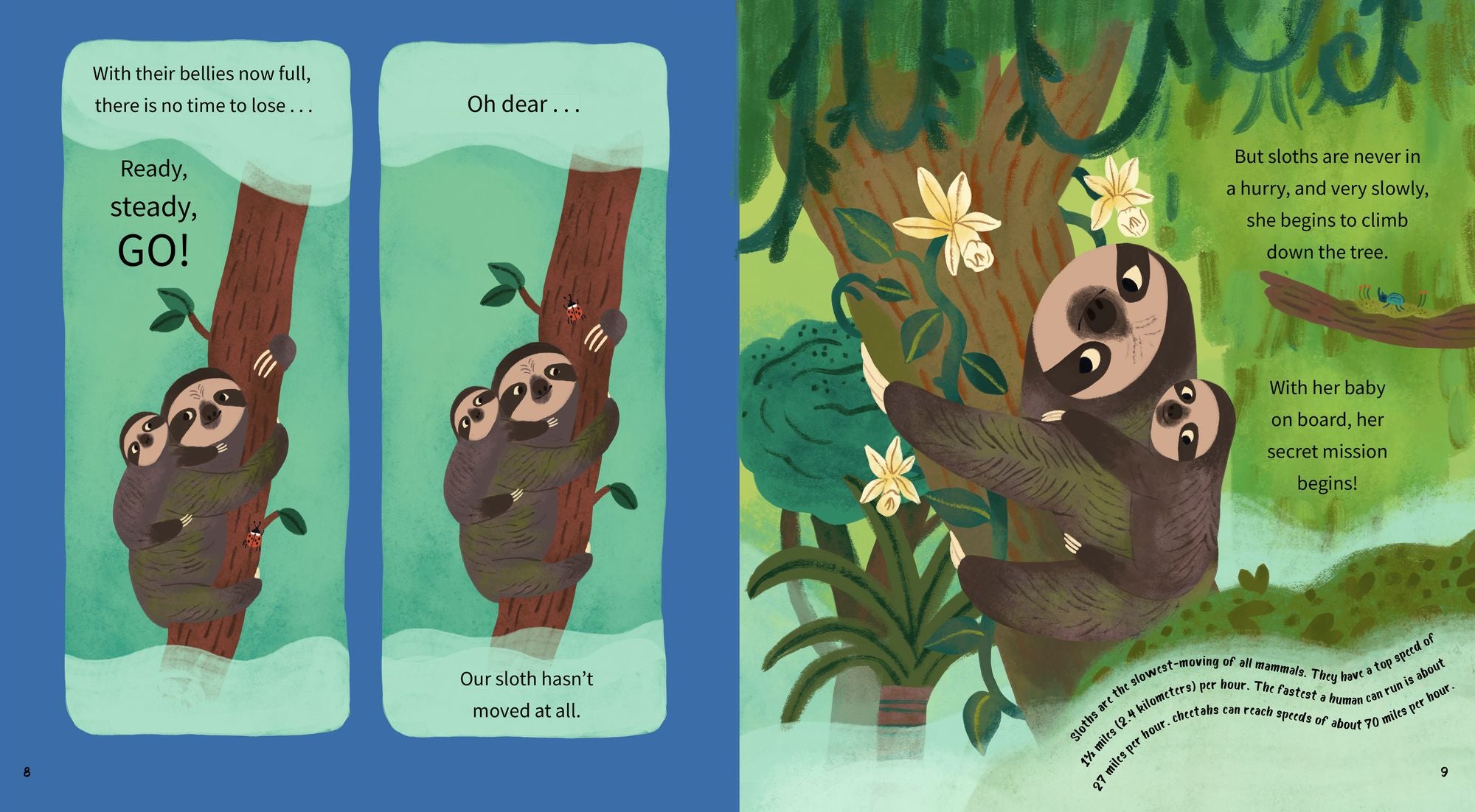 Ready, Steady, Sloth!