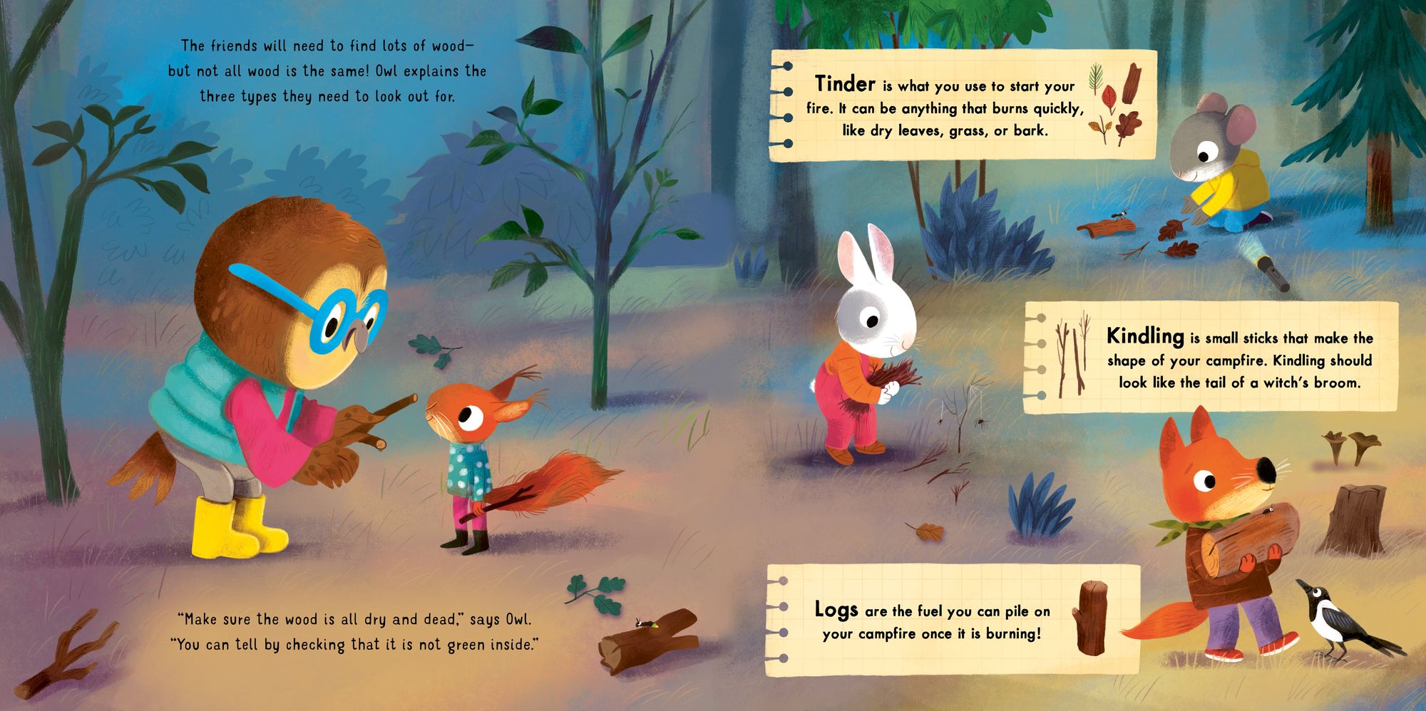 Forest School: The Moonlit Campout