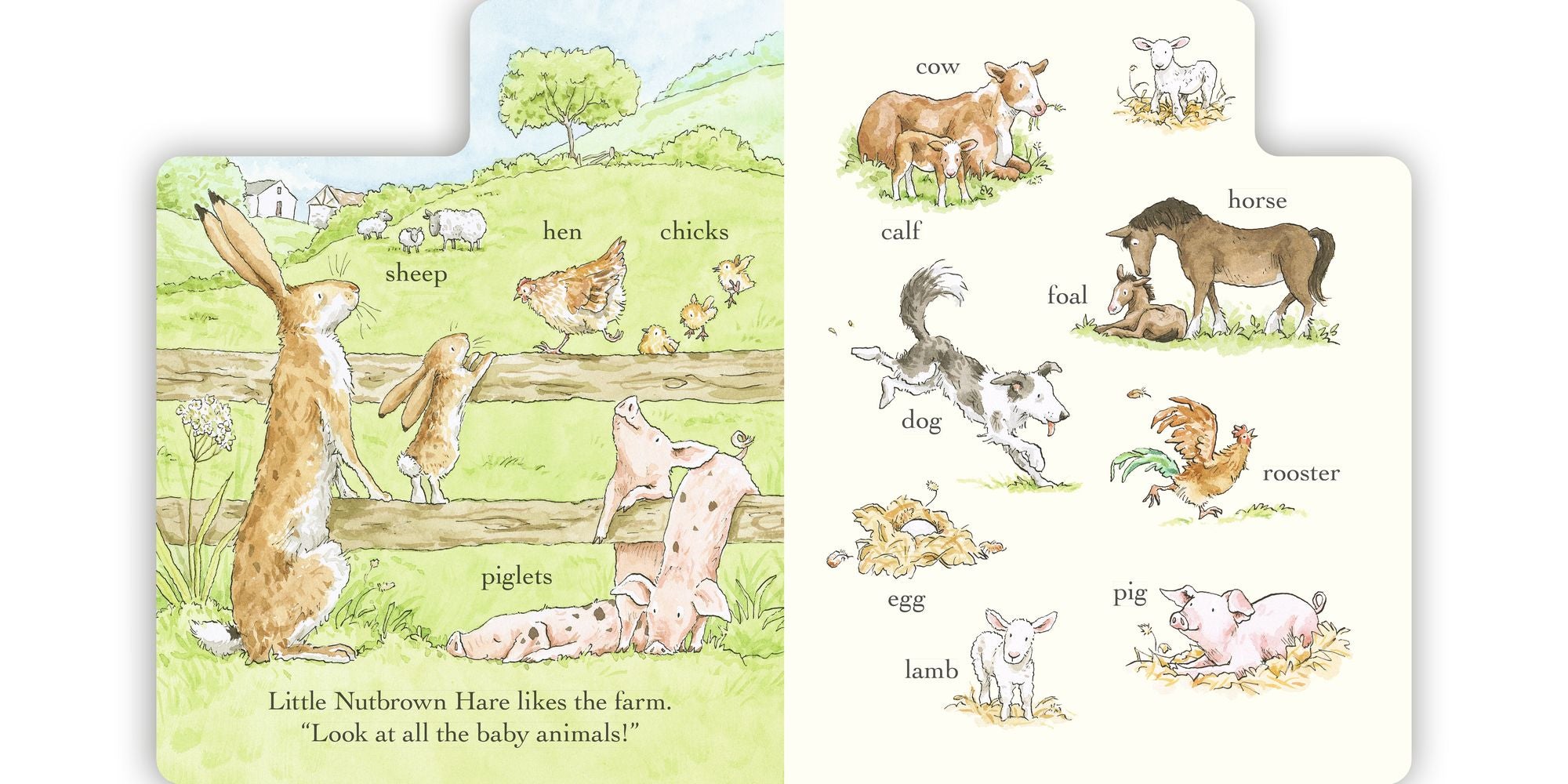 Out and About in 100 Words: A Guess How Much I Love You Book: (An Interactive First Word Book With Nature Scenes, Gentle Learning, & the Beloved Nutbrown Hare for Kids Ages 2-5)