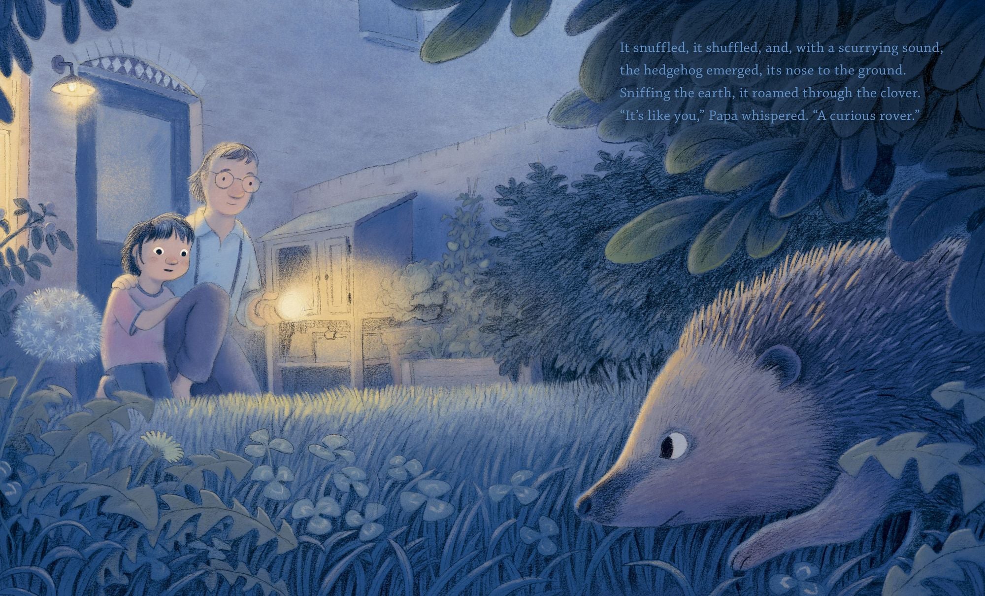 The Night of the Hedgehog