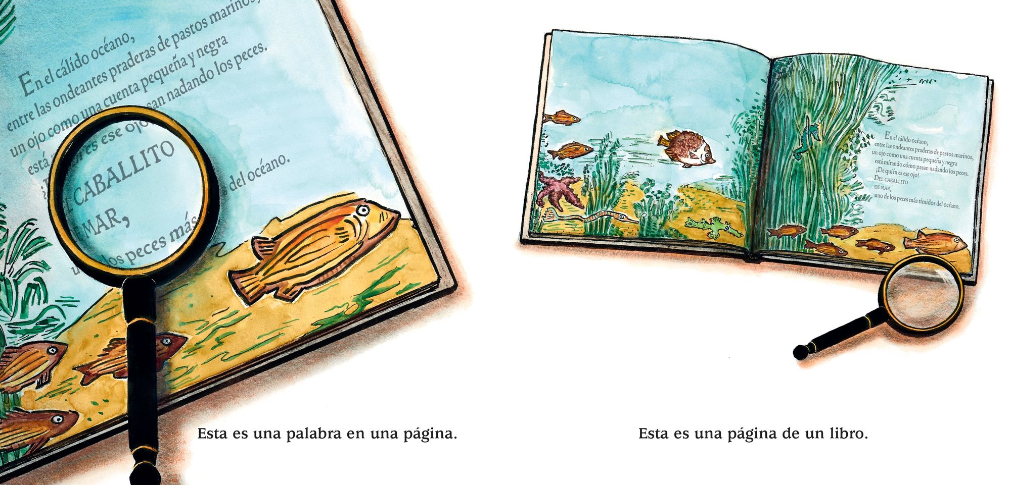 Este es un cuento: (Una celebración de los libros, la imaginación y la experiencia en la biblioteca para niños de 4 a 8 años)