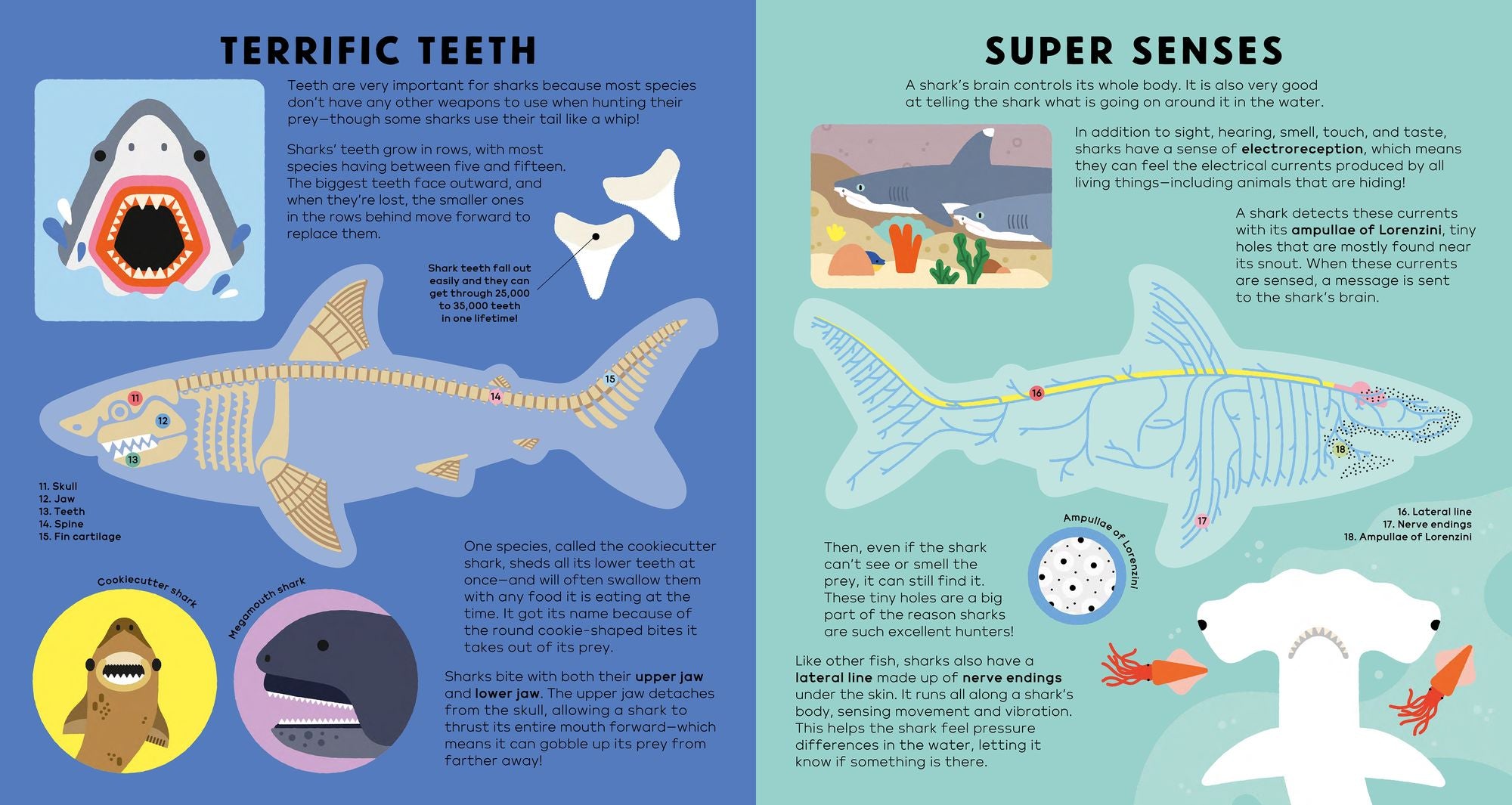 The Shark Book