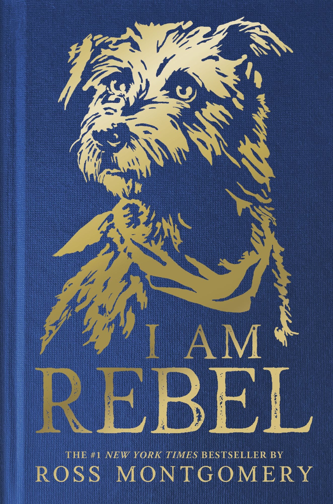 I Am Rebel (Deluxe Edition) (B&N Exclusive Edition) (2025 B&N Children's Book of the Year)