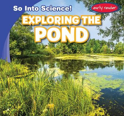 Exploring the Pond