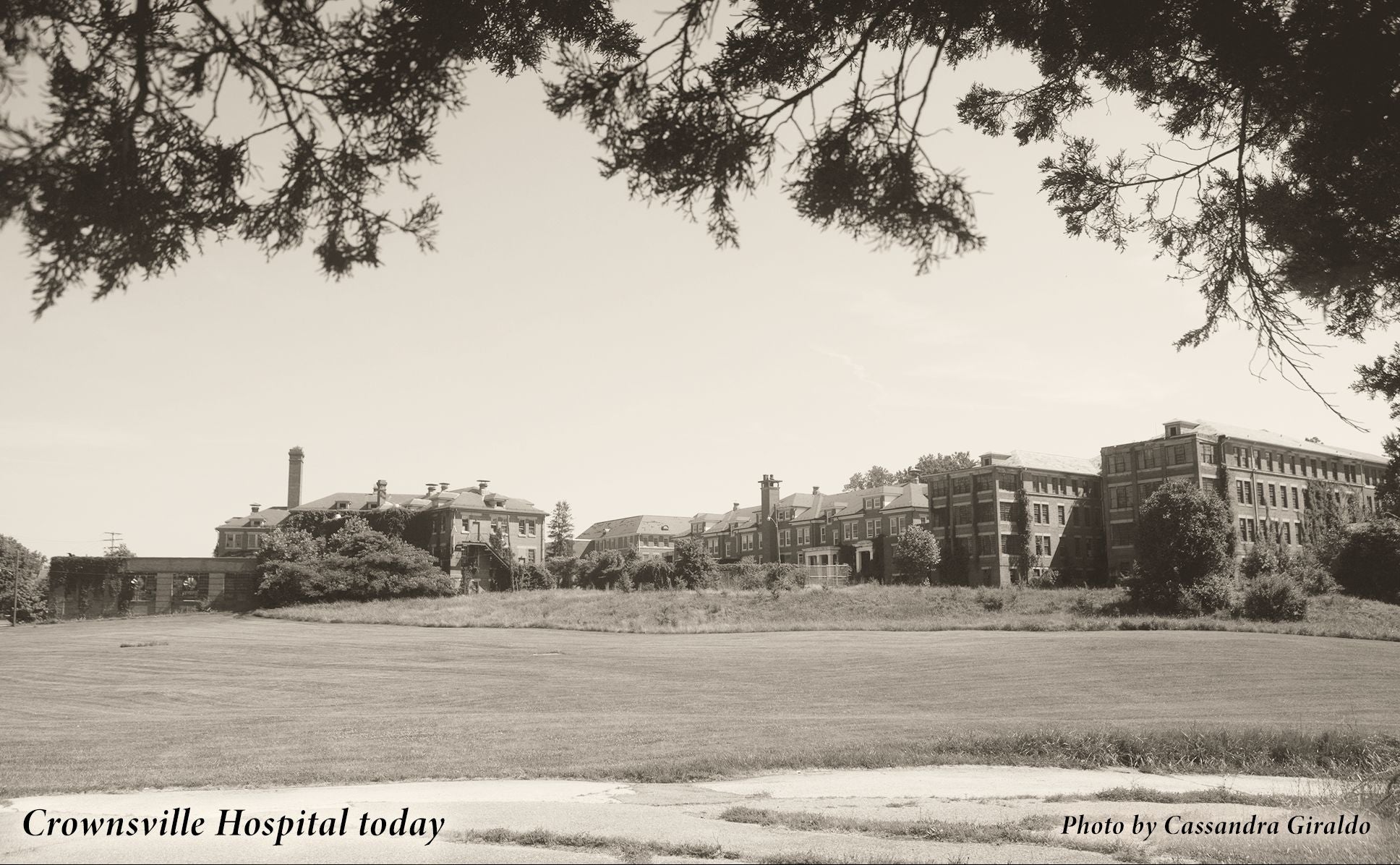 Madness: Race and Insanity in a Jim Crow Asylum