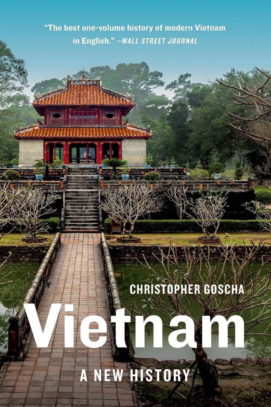 Vietnam: A New History