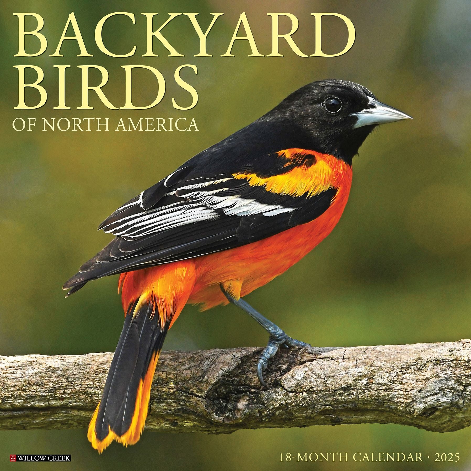 Backyard Birds 2026 Wall Calendar