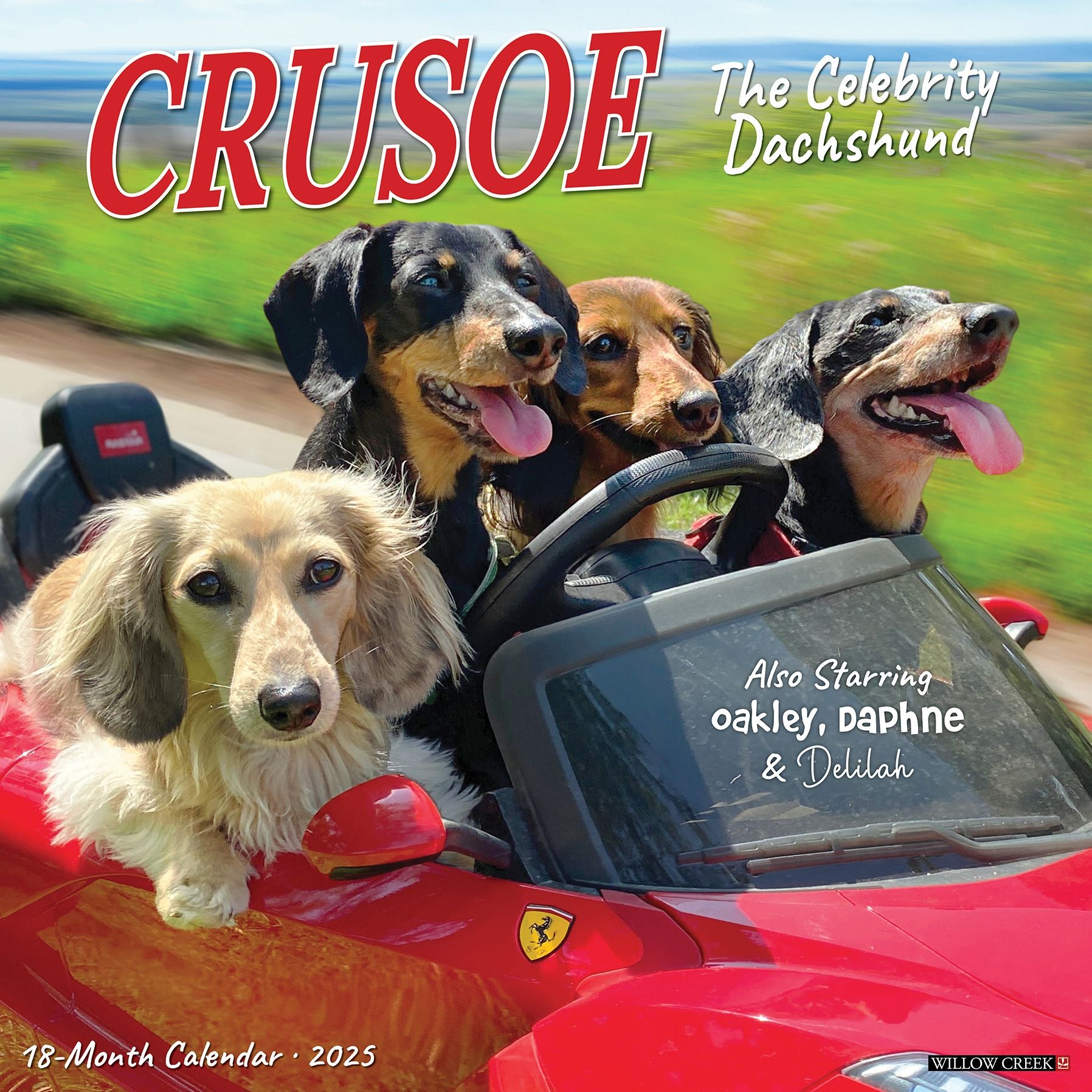 Crusoe the Celebrity Dachshund 2026 Wall Calendar