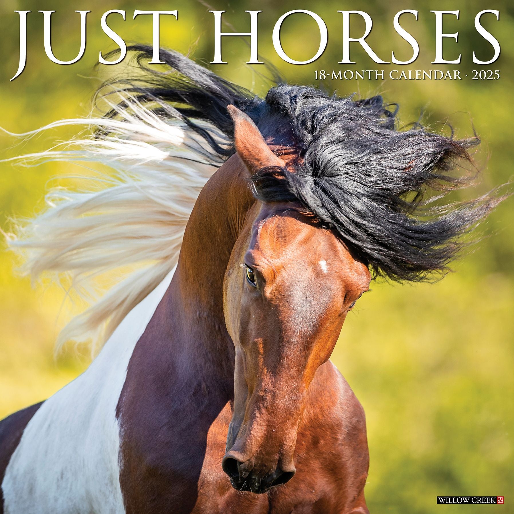 Horses 2026 Wall Calendar