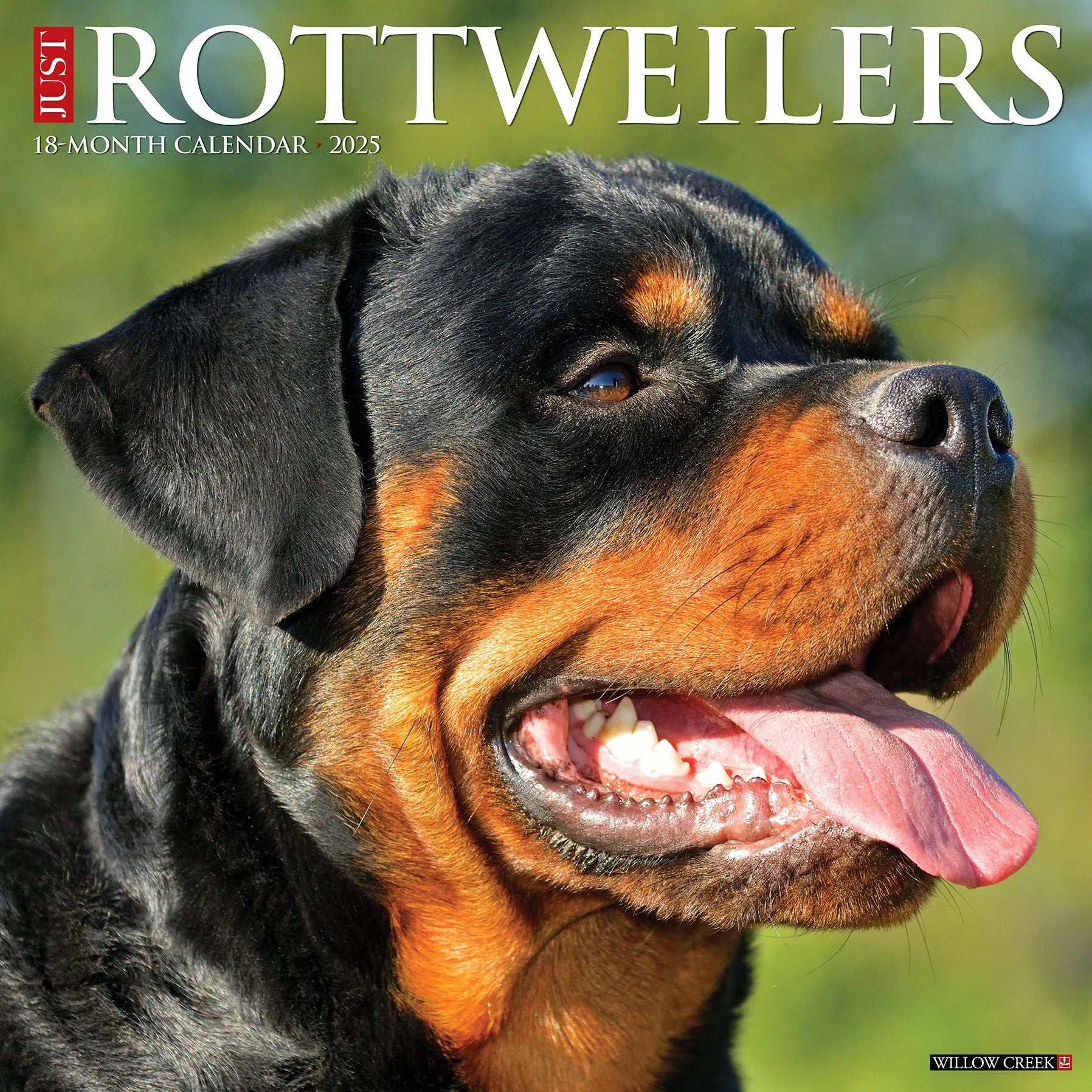 Rottweilers 2026 Wall Calendar