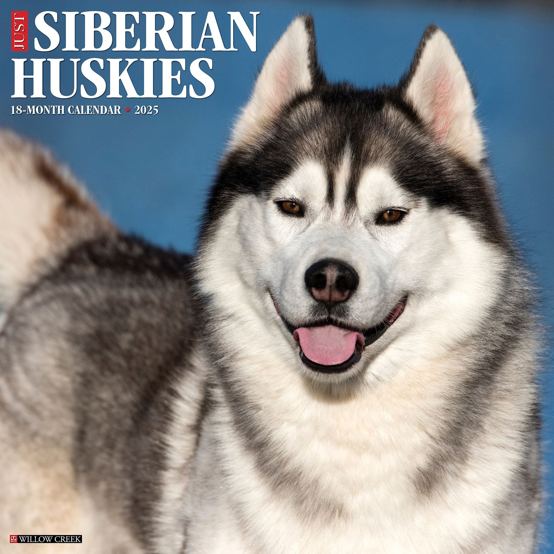 Siberian Huskies 2026 Wall Calendar