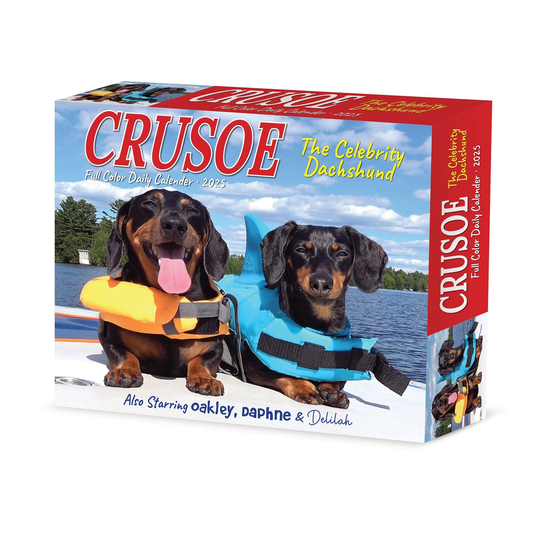 Crusoe the Celebrity Dachshund 2026 Box Calendar