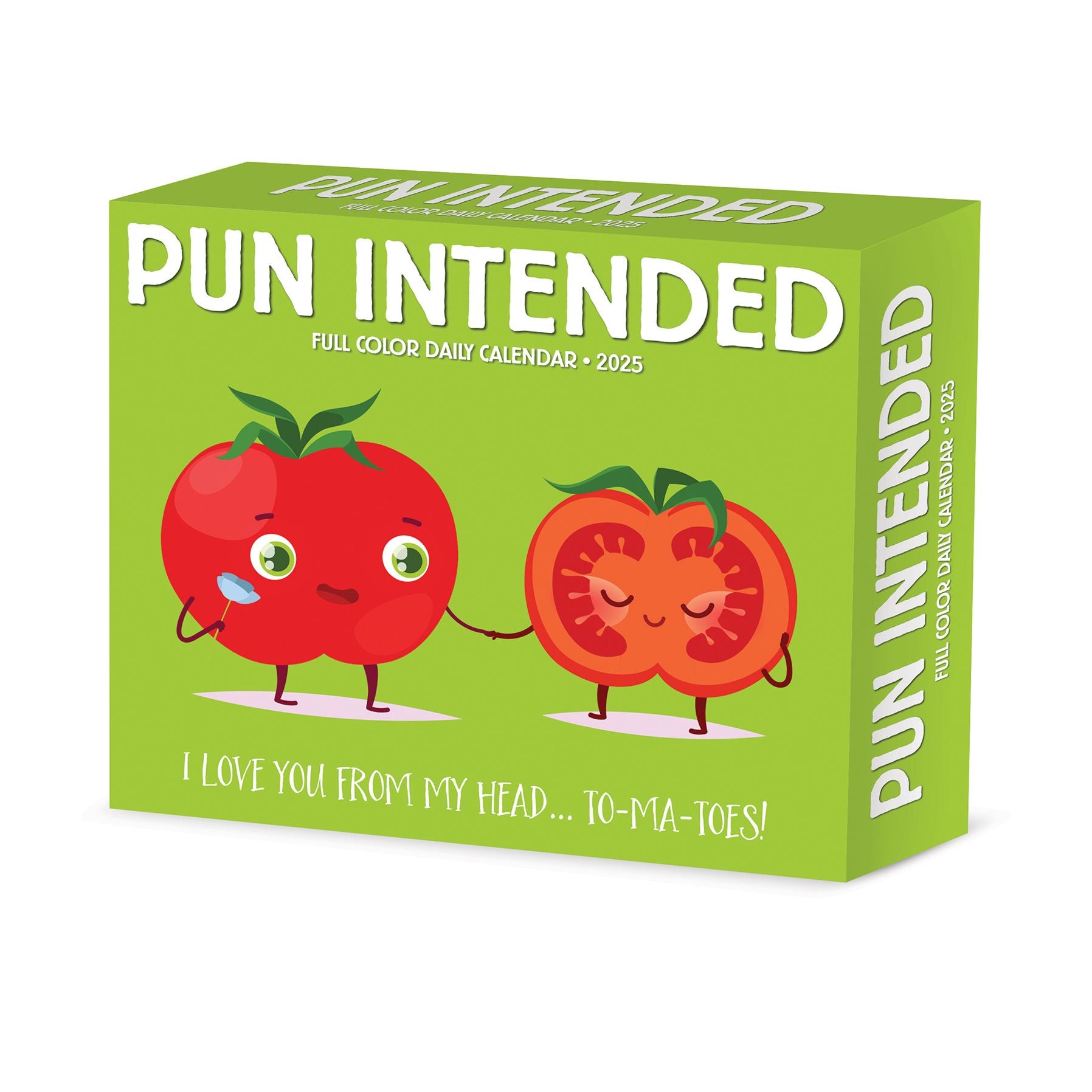 2026 Pun Intended Daily Box Desktop Calendar
