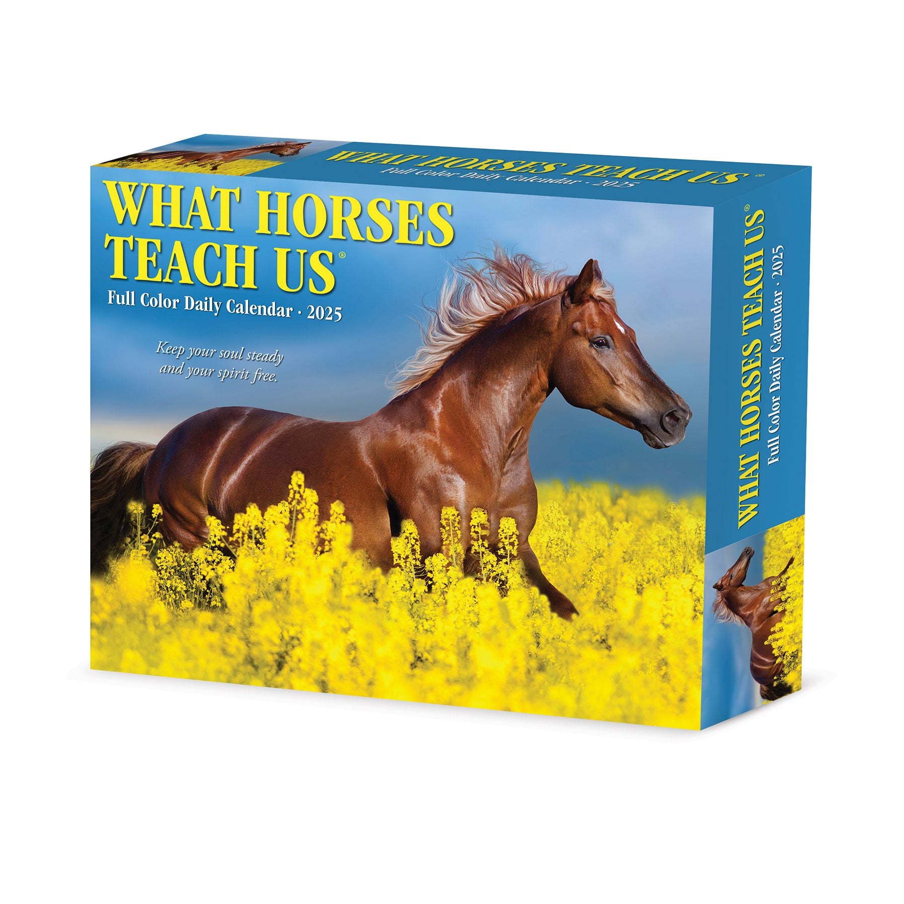 What Horses Teach Us 2026 Box Calendar