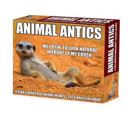 2026 Animal Antics Daily Box Desktop Calendar
